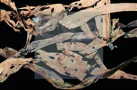 登錄號:F0010373藏品圖，第3張