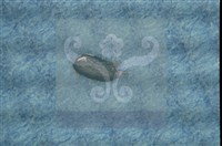 登錄號:F0010373藏品圖，第5張