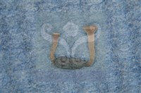 登錄號:F0010373藏品圖，第10張