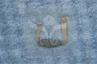 登錄號:F0010373藏品圖，第15張