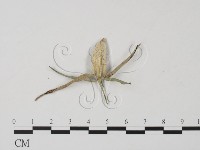 登錄號:F0010374藏品圖，第3張