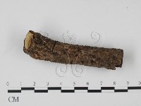 登錄號:F0010375藏品圖，第3張