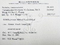 登錄號:F0010376藏品圖，第2張