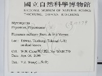 登錄號:F0010379藏品圖，第2張