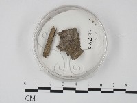 登錄號:F0010379藏品圖，第1張