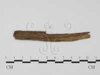 登錄號:F0010380藏品圖，第3張