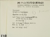 登錄號:F0010381藏品圖，第2張