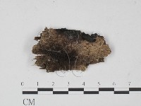 登錄號:F0010381藏品圖，第1張