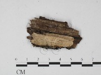 登錄號:F0010381藏品圖，第3張