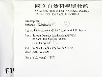 登錄號:F0010382藏品圖，第2張