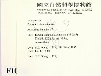 登錄號:F0010386藏品圖，第2張