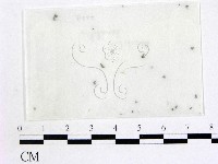 登錄號:F0010386藏品圖，第1張