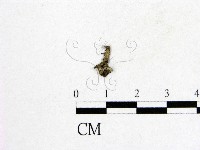 登錄號:F0010389藏品圖，第1張