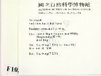 登錄號:F0010390藏品圖，第2張