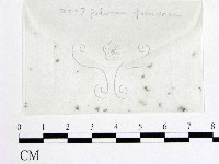 登錄號:F0010390藏品圖，第1張