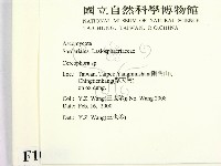 登錄號:F0010391藏品圖，第2張