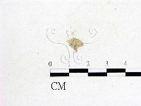 登錄號:F0010391藏品圖，第1張