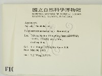 登錄號:F0010392藏品圖，第2張