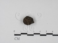 登錄號:F0010392藏品圖，第4張