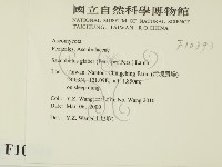 登錄號:F0010393藏品圖，第2張