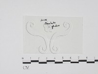 登錄號:F0010393藏品圖，第1張