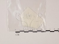 登錄號:F0010395藏品圖，第1張