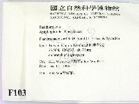 登錄號:F0010397藏品圖，第2張