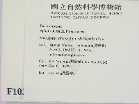 相鄰小孔菌藏品圖，第2張