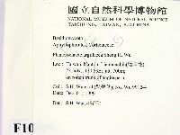 登錄號:F0010399藏品圖，第2張