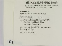 刺革菌屬藏品圖，第2張