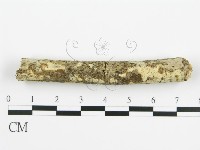 登錄號:F0010402藏品圖，第1張