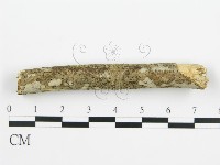 登錄號:F0010402藏品圖，第3張