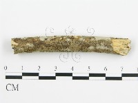 登錄號:F0010402藏品圖，第4張