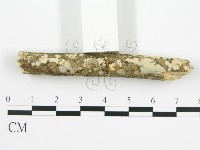 登錄號:F0010402藏品圖，第5張