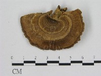 登錄號:F0010404藏品圖，第1張