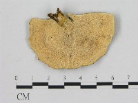 登錄號:F0010404藏品圖，第3張