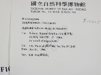 登錄號:F0010405藏品圖，第2張