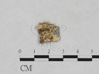 登錄號:F0010405藏品圖，第1張