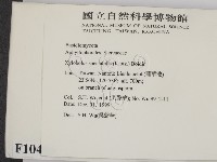 登錄號:F0010406藏品圖，第2張