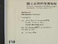 登錄號:F0010407藏品圖，第2張