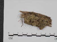登錄號:F0010407藏品圖，第1張
