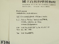 登錄號:F0010408藏品圖，第2張