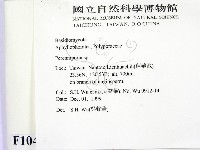 多年臥孔菌屬藏品圖，第2張