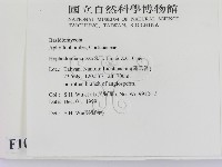 登錄號:F0010410藏品圖，第2張