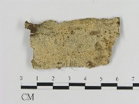 登錄號:F0010410藏品圖，第1張