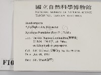 登錄號:F0010411藏品圖，第2張