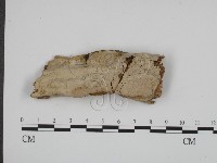登錄號:F0010411藏品圖，第1張