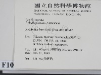 登錄號:F0010412藏品圖，第2張