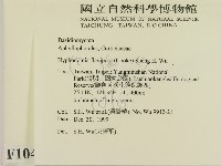 登錄號:F0010413藏品圖，第2張