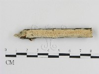 登錄號:F0010413藏品圖，第1張